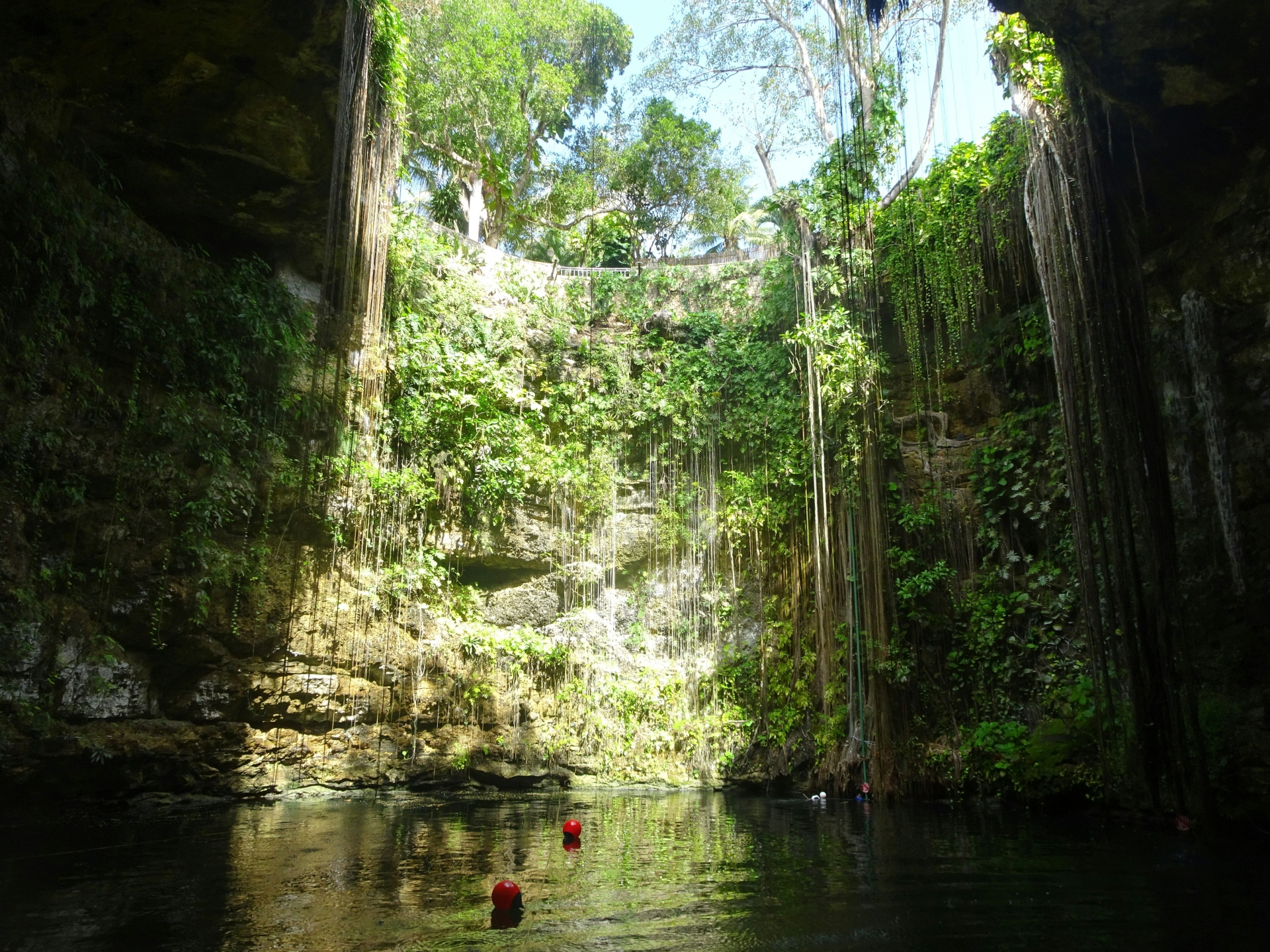 Magie des Cenotes