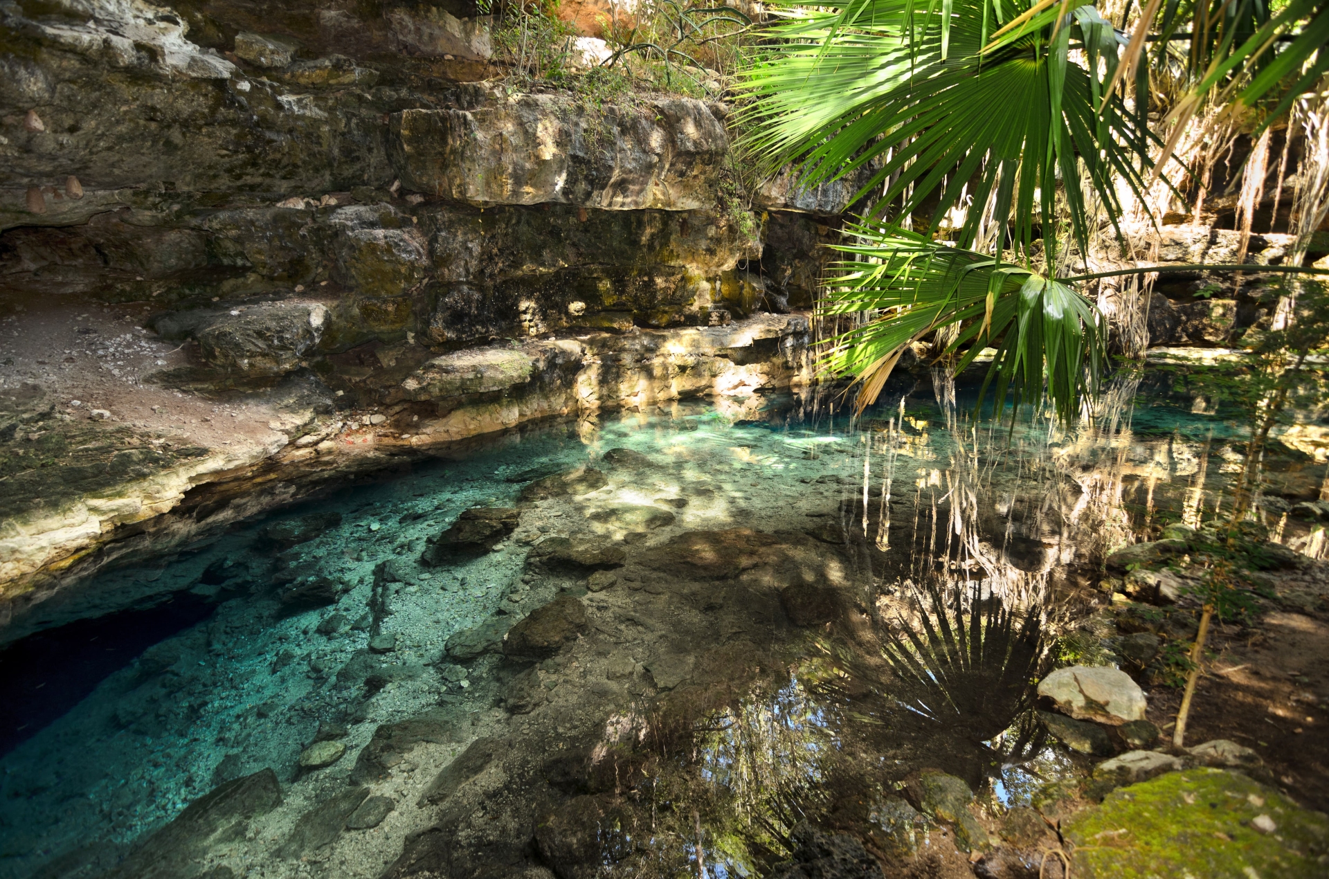 Le Cenote d'X-Batun