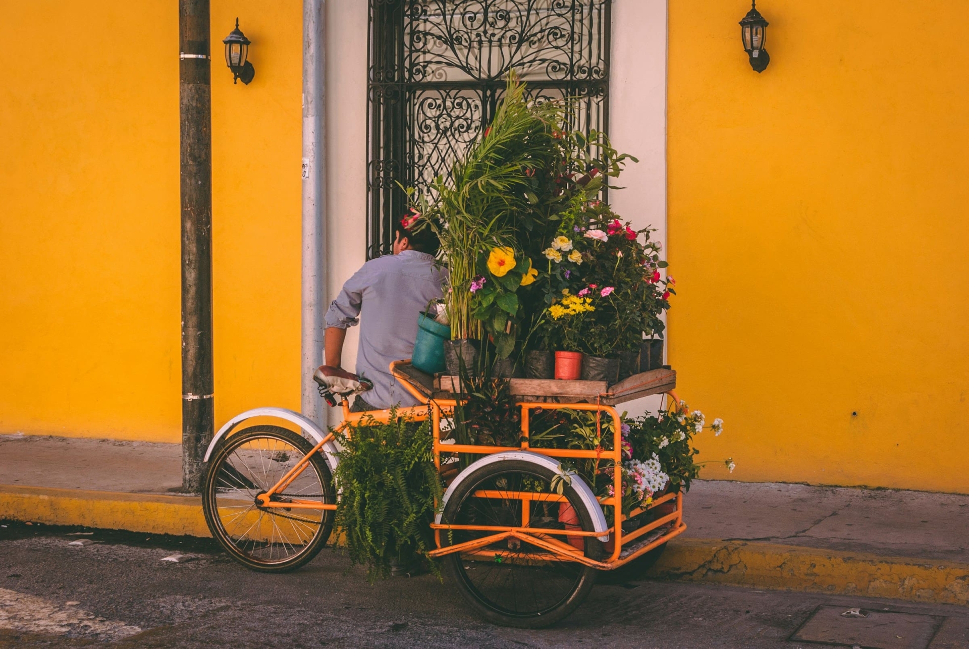 Visiter Mérida