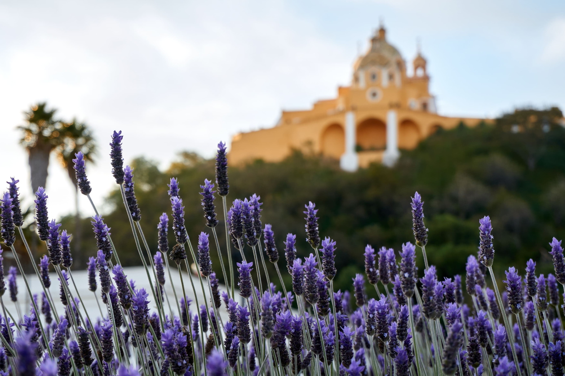 Les paysages de Cholula