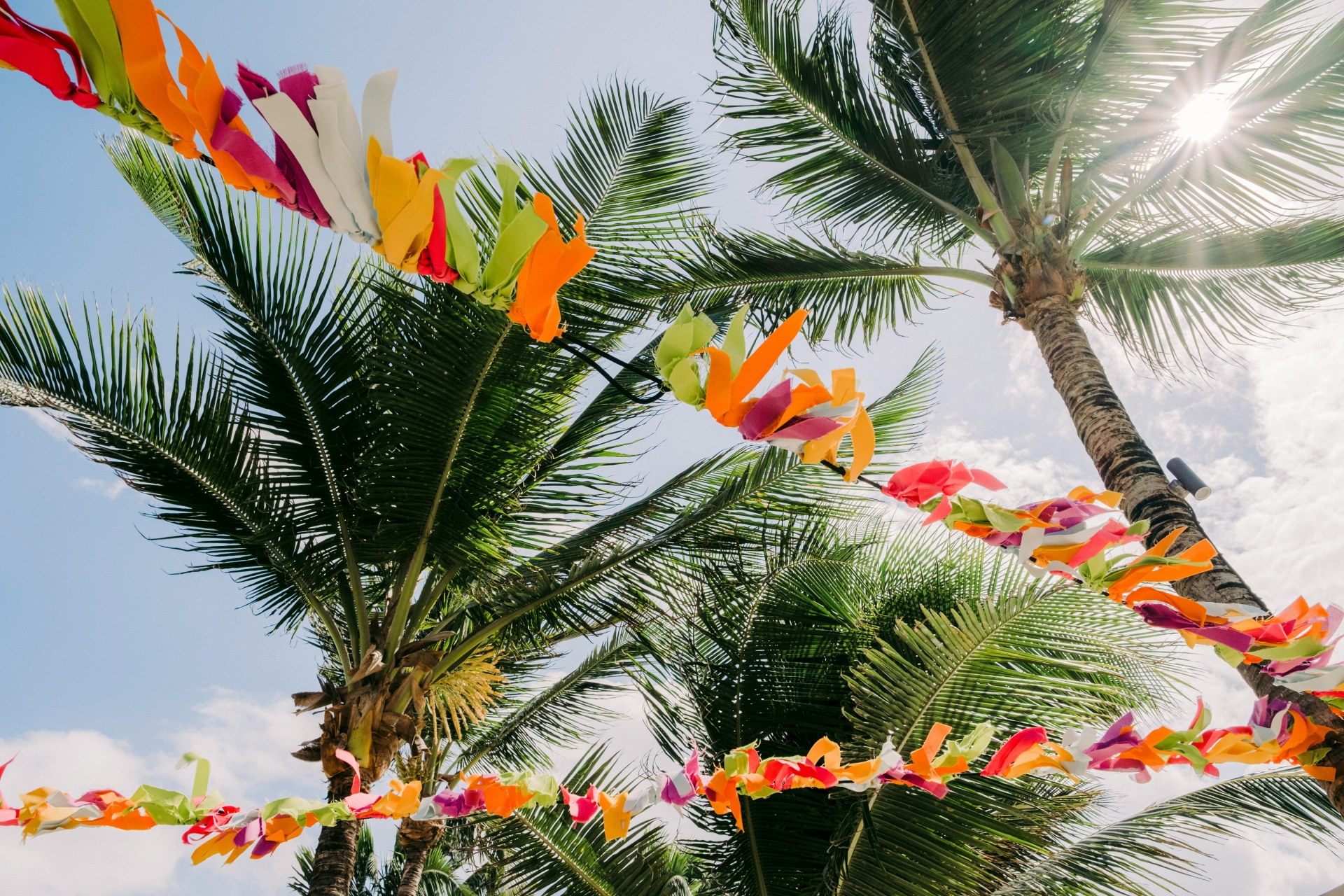 tropical-plage-colin-meg