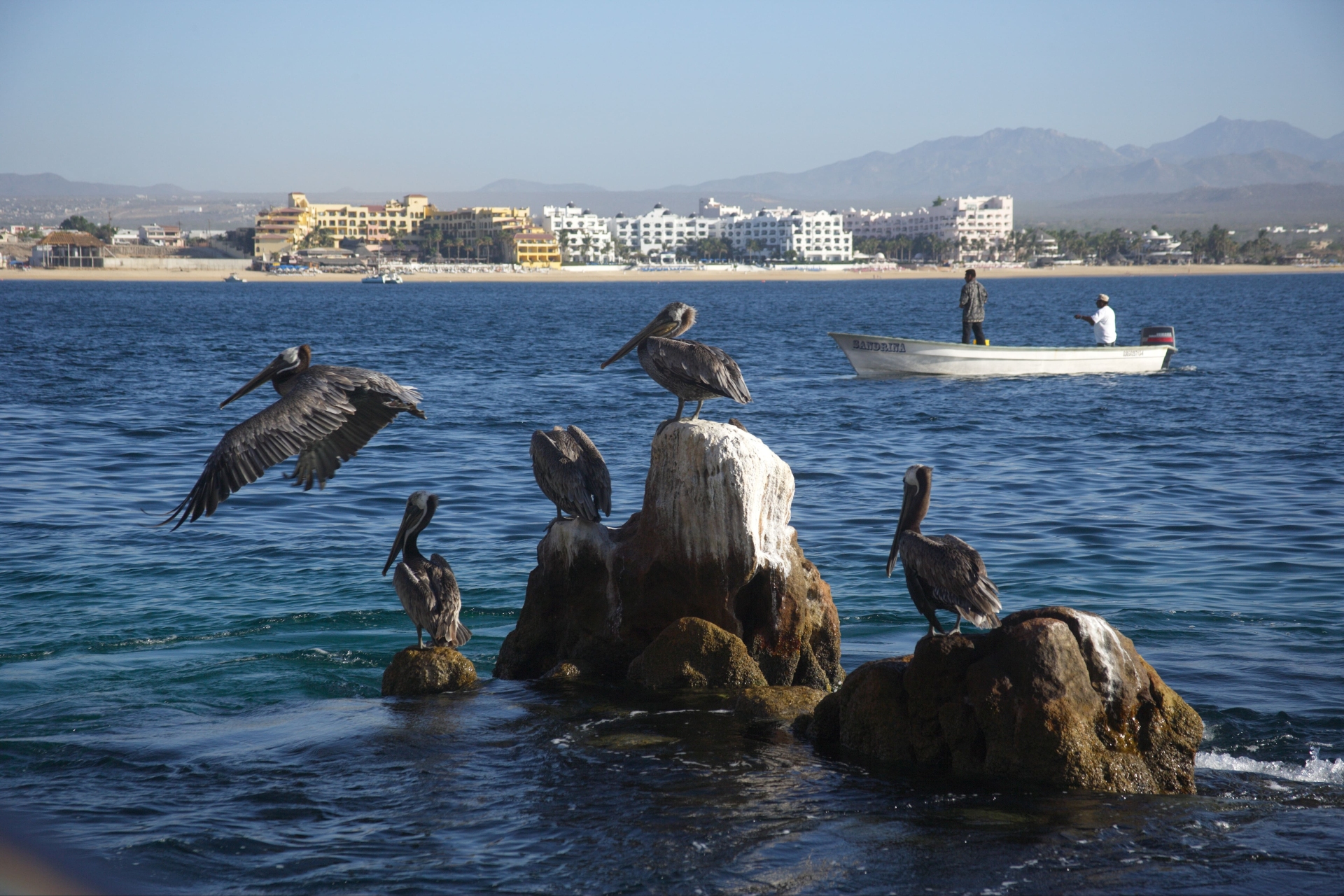 Cabo San Luca