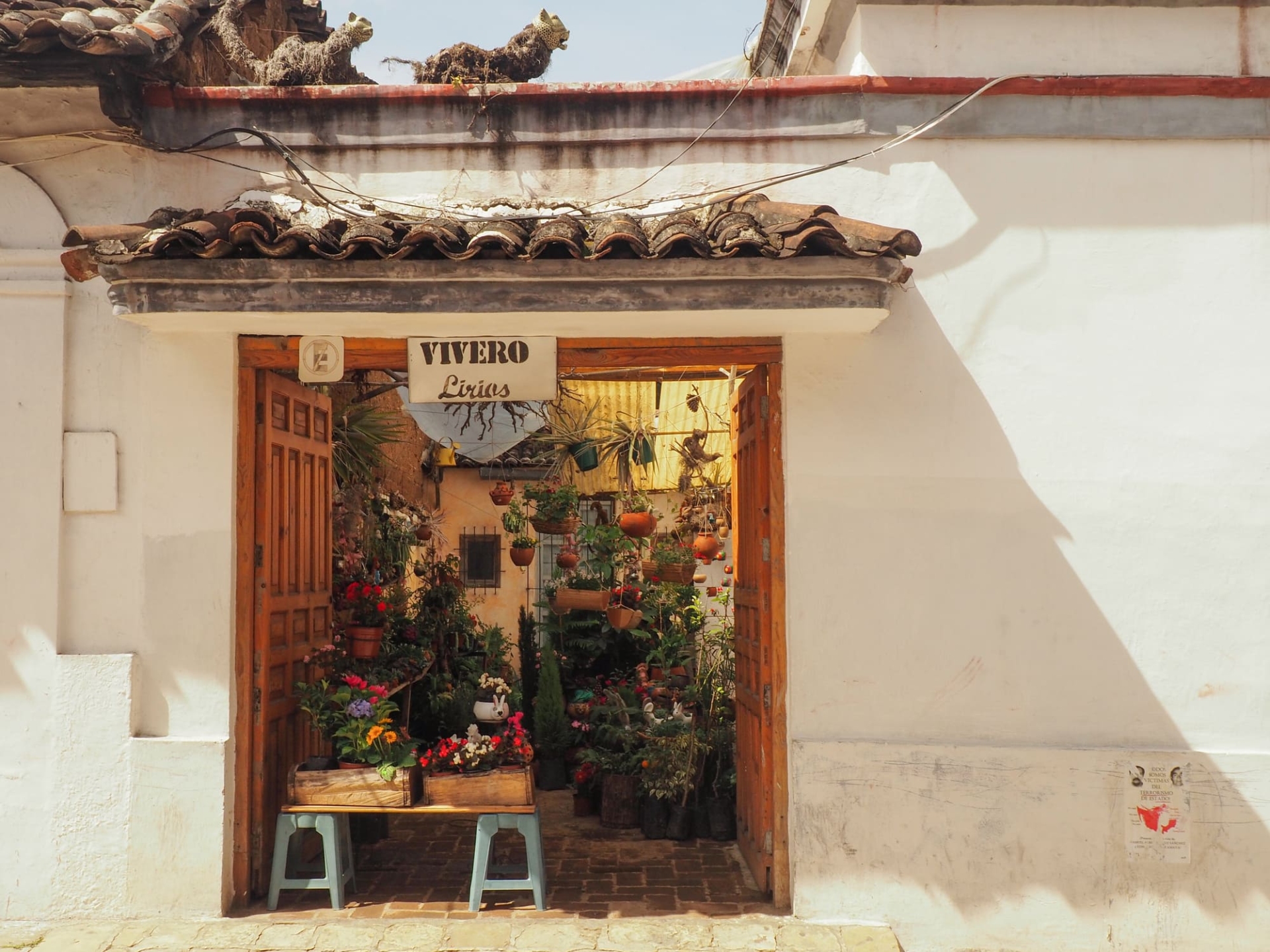 conditions-de-vente-san-cristobal-de-las-casas-mexique
