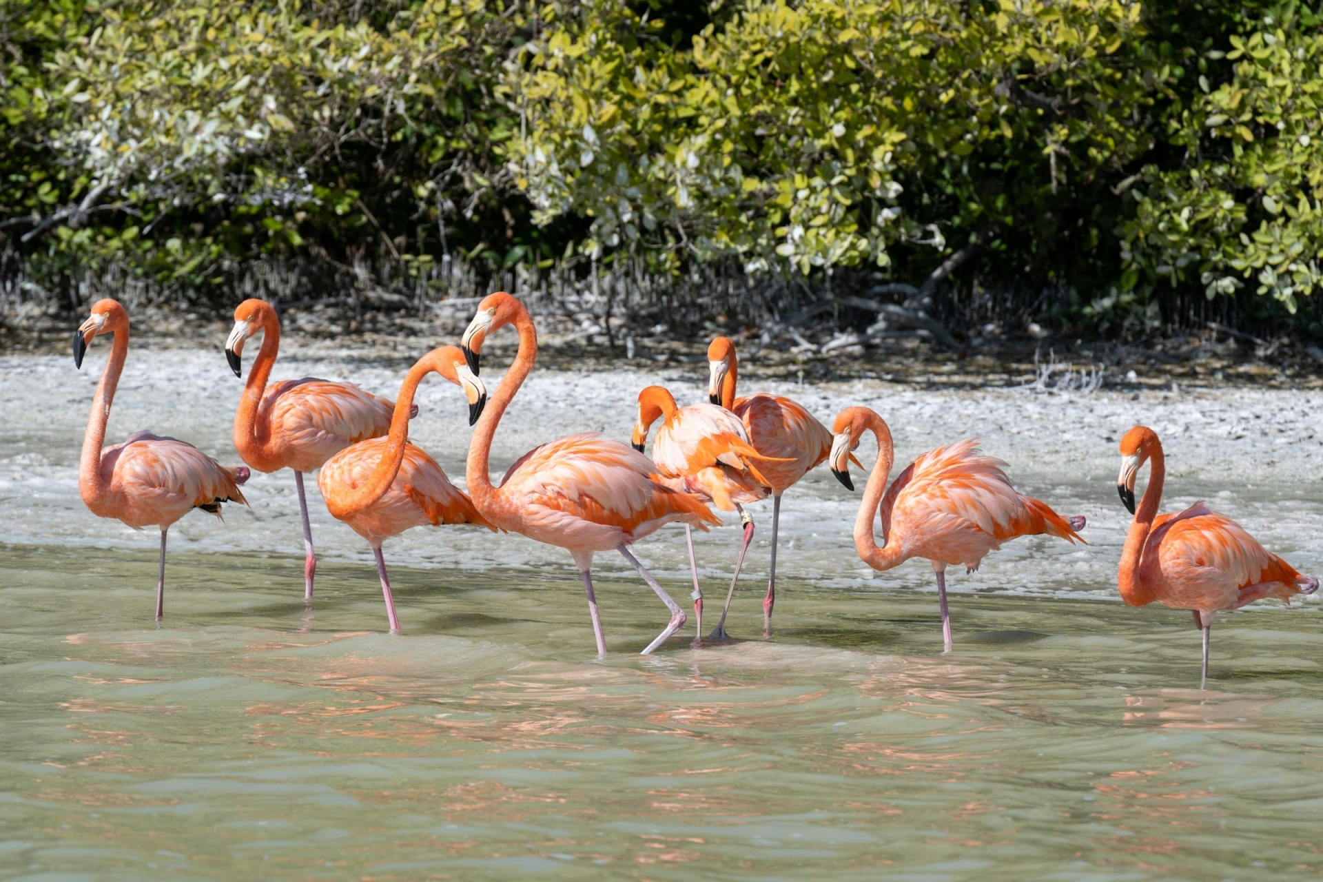 Voyage Mexique en famille