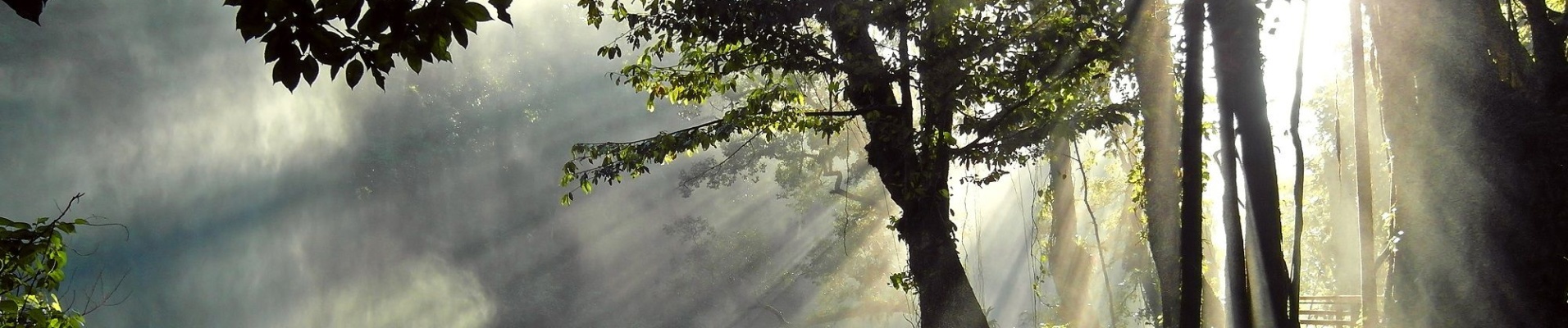 Cascade Misol Ha, Chiapas, Mexique